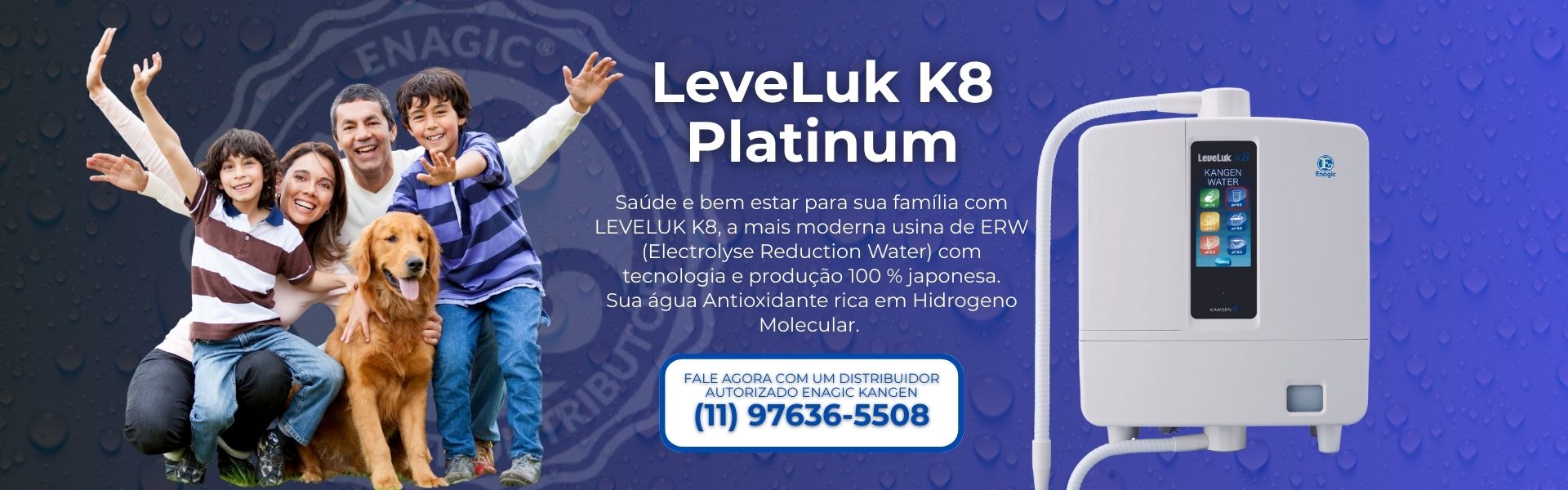 HOME-SP-ZONA-LESTE-Newton Kotsi - Kangen Store